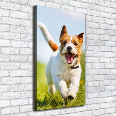 Foto obraz na płótnie pionowy Pies Jack Russell