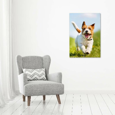 Verticale canvasfoto Jack Russell hond
