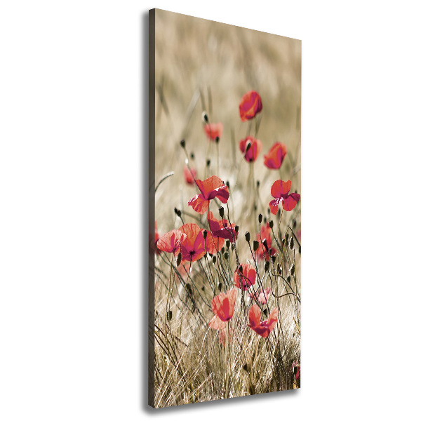 Verticale canvasfoto Wilde bloemen
