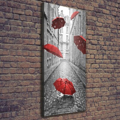 Verticaal schilderij op canvas Paraplu Frankrijk