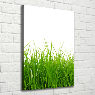 Verticaal canvasschilderij Groen gras