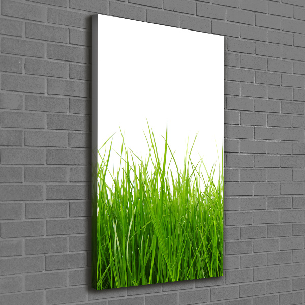 Verticaal canvasschilderij Groen gras