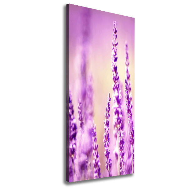 Verticaal canvasschilderij Lavendel