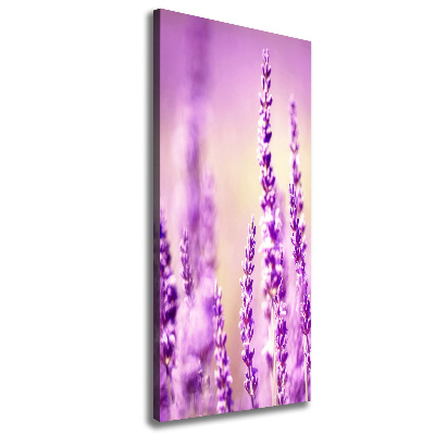 Verticaal canvasschilderij Lavendel
