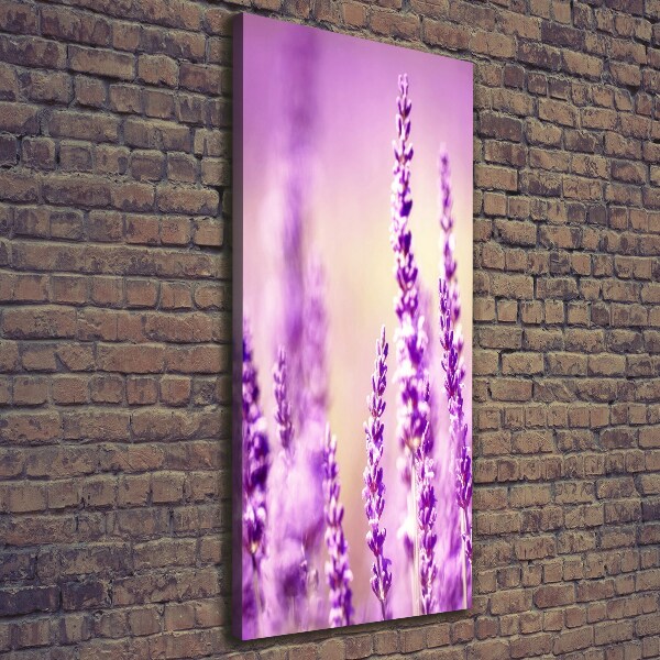 Verticaal canvasschilderij Lavendel