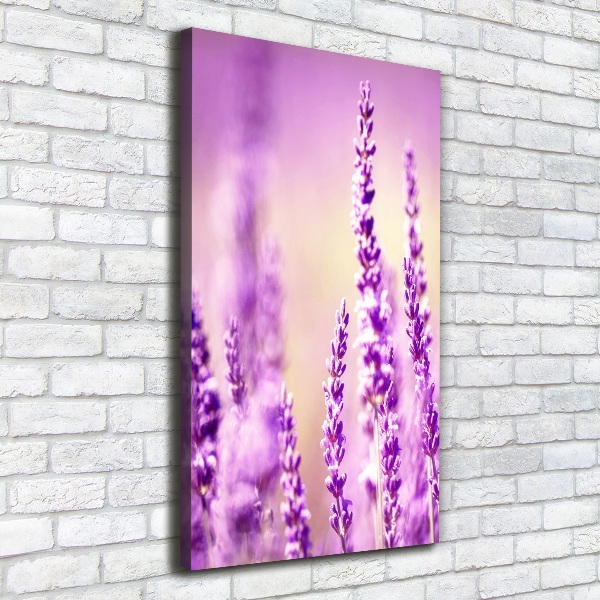 Verticaal canvasschilderij Lavendel