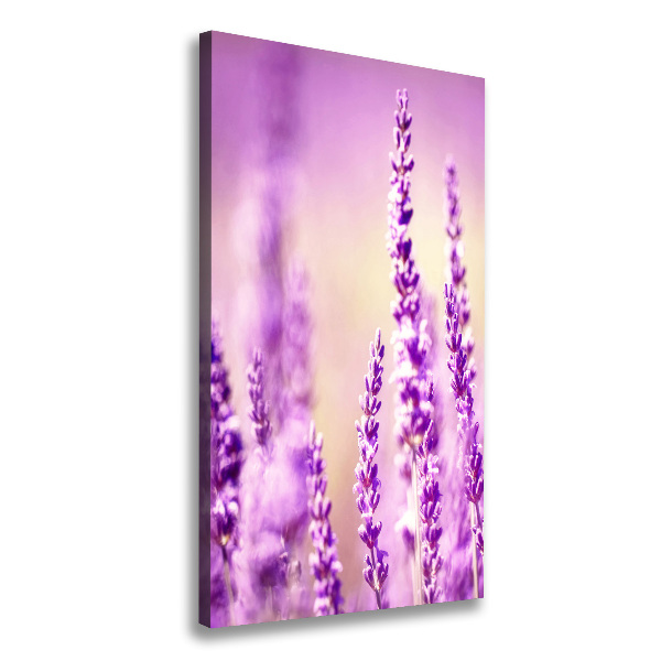 Verticaal canvasschilderij Lavendel