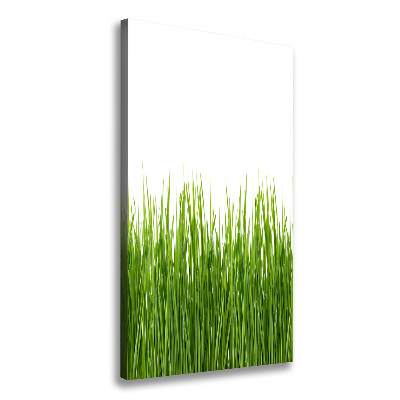 Verticale foto op canvas Groen gras