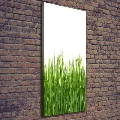 Verticale foto op canvas Groen gras