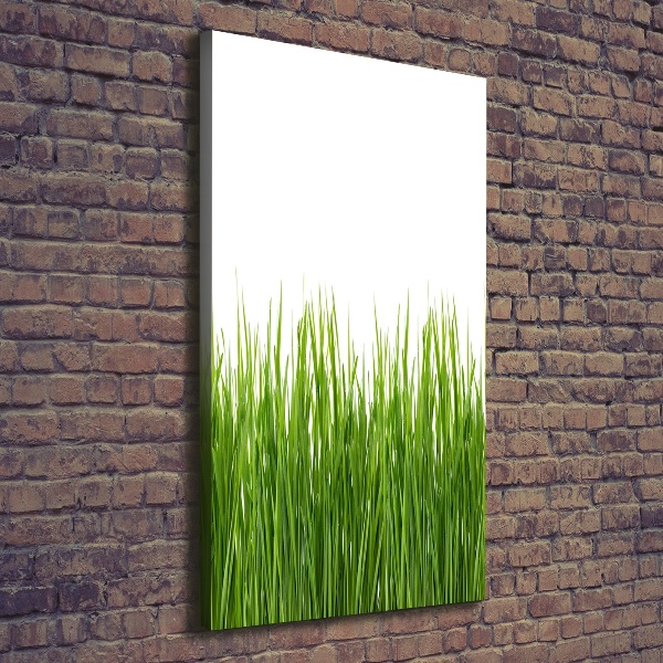 Verticale foto op canvas Groen gras