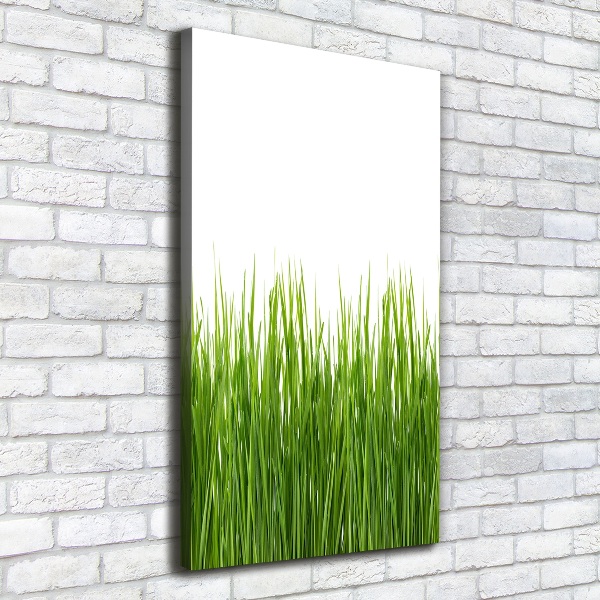 Verticale foto op canvas Groen gras