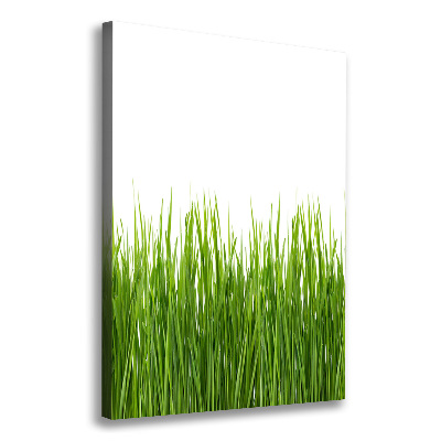 Verticale foto op canvas Groen gras