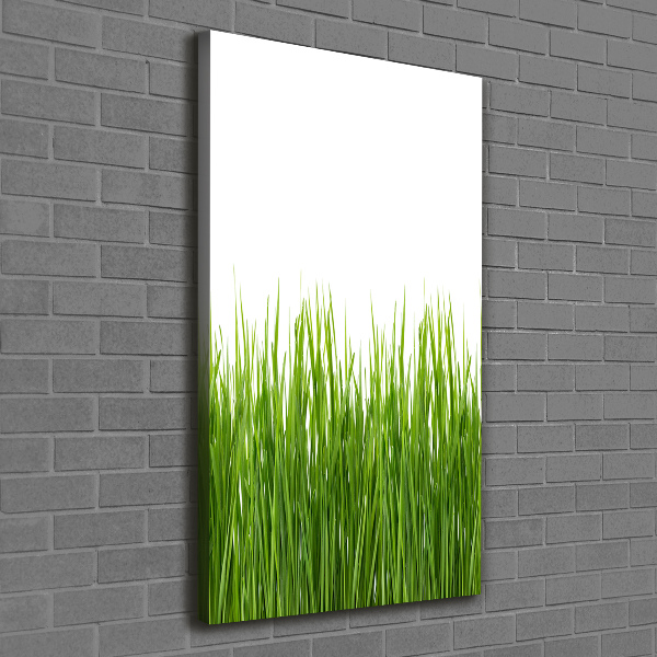 Verticale foto op canvas Groen gras
