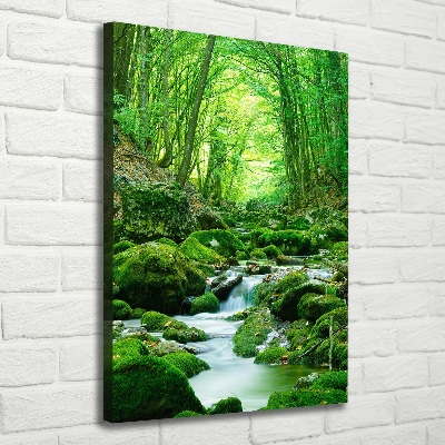 Verticaal canvasschilderij Een beekje in de jungle