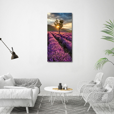 Verticale foto op canvas Lavendelveld