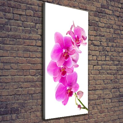 Verticaal canvasschilderij Roze orchidee