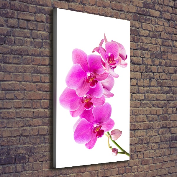 Verticaal canvasschilderij Roze orchidee