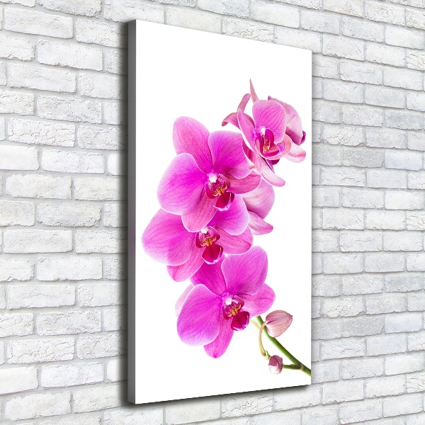 Verticaal canvasschilderij Roze orchidee