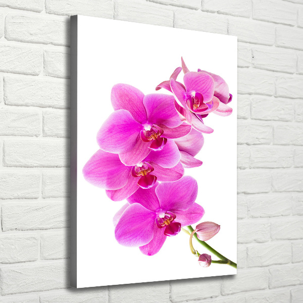 Verticaal canvasschilderij Roze orchidee