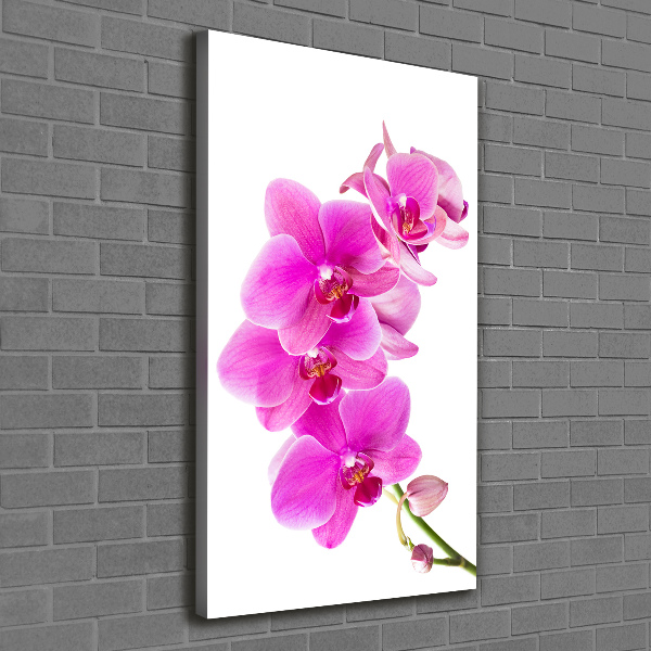 Verticaal canvasschilderij Roze orchidee