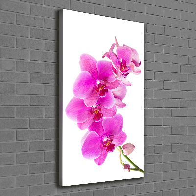 Verticaal canvasschilderij Roze orchidee