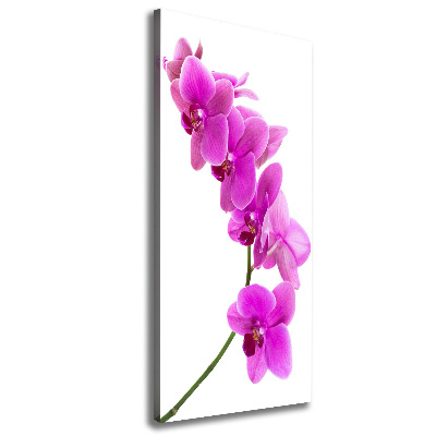 Verticaal schilderij op canvas Roze orchidee