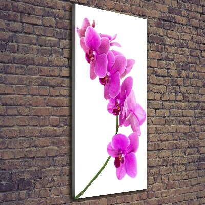 Verticaal schilderij op canvas Roze orchidee