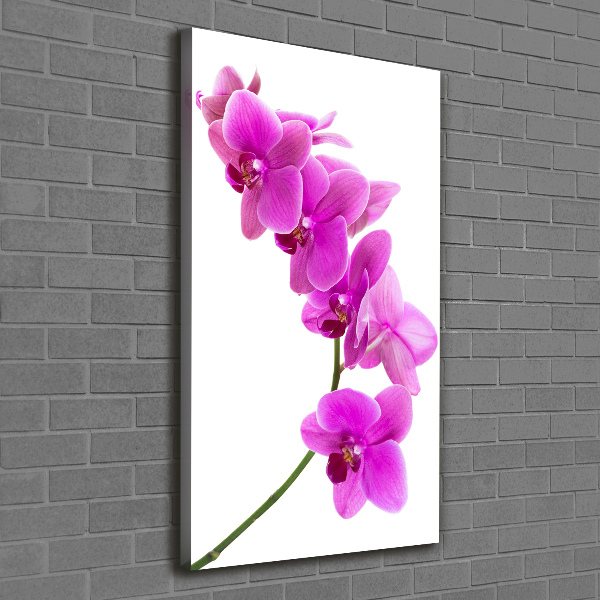 Verticaal schilderij op canvas Roze orchidee