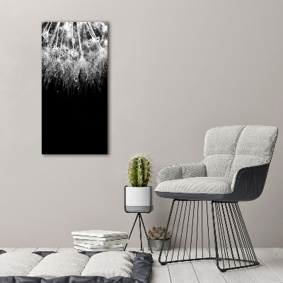 Foto obraz na płótnie pionowy Nasiona dmuchawca