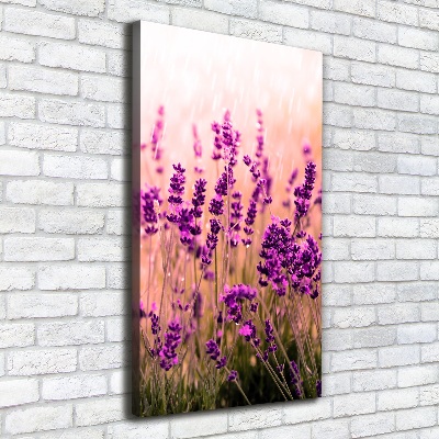 Verticaal schilderij op canvas Lavendelveld