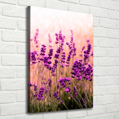 Verticaal schilderij op canvas Lavendelveld