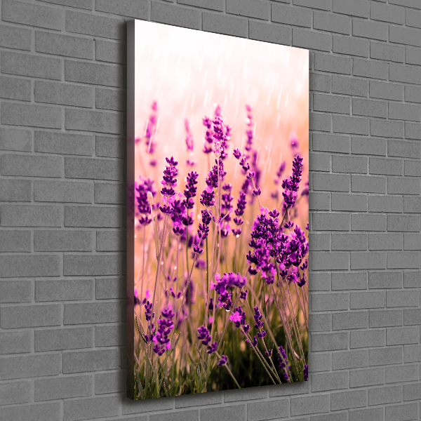 Verticaal schilderij op canvas Lavendelveld