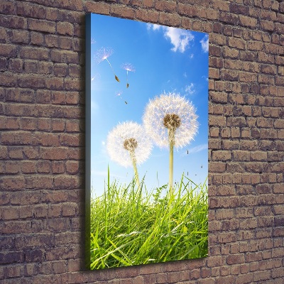 Verticale foto op canvas Paardenbloemen in de wei