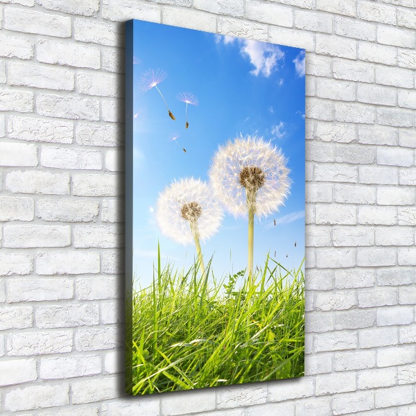 Verticale foto op canvas Paardenbloemen in de wei