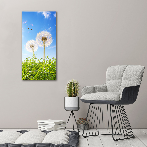 Verticale foto op canvas Paardenbloemen in de wei