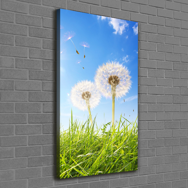 Verticale foto op canvas Paardenbloemen in de wei