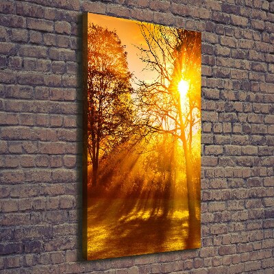 Foto obraz na płótnie pionowy Park jesienią