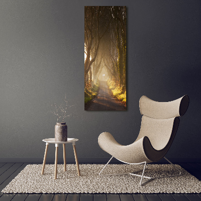 Verticaal schilderij op canvas Pad in het bos