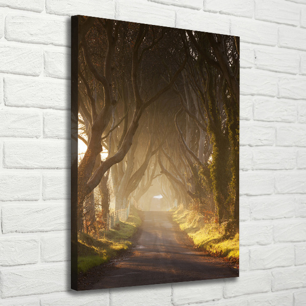 Verticaal schilderij op canvas Pad in het bos