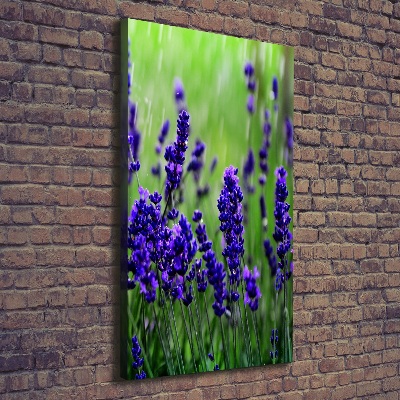 Verticaal schilderij op canvas Lavendelveld