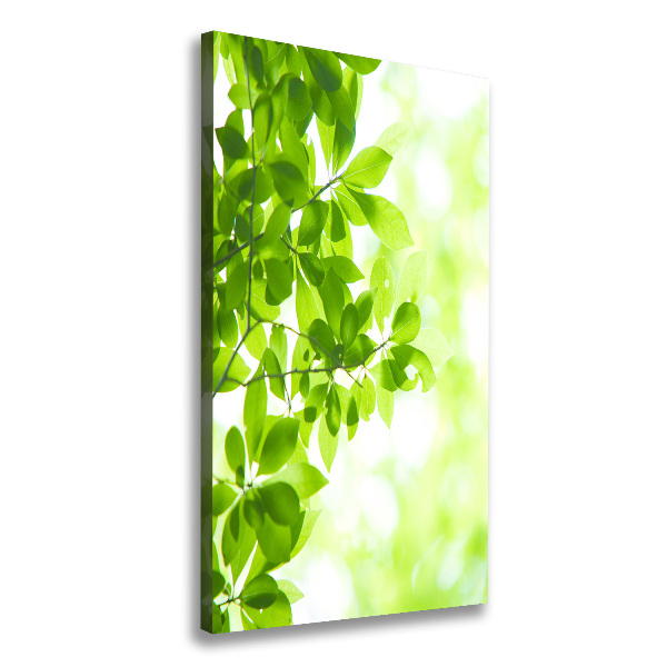 Verticale foto op canvas Groene bladeren