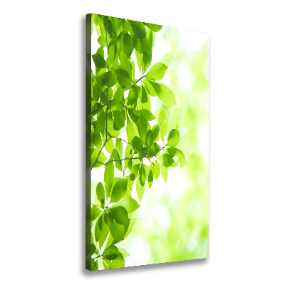 Verticale foto op canvas Groene bladeren