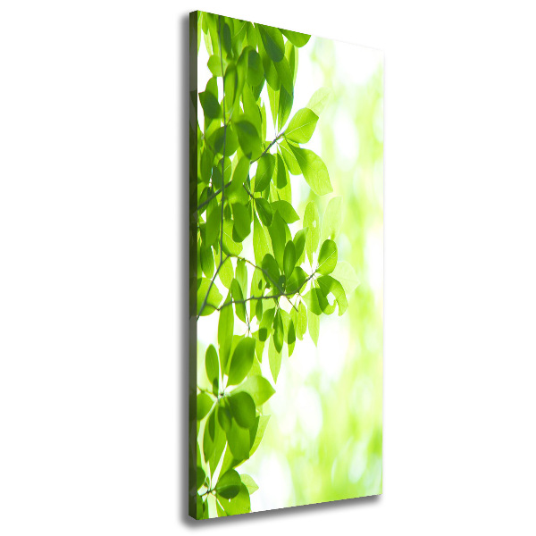 Verticale foto op canvas Groene bladeren