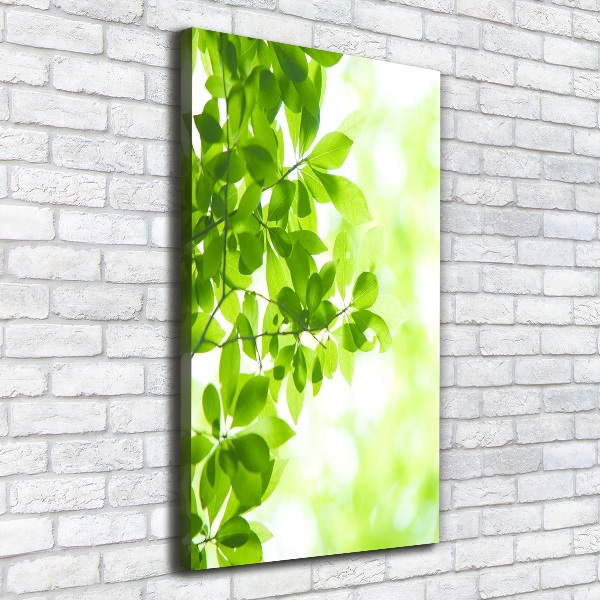 Verticale foto op canvas Groene bladeren