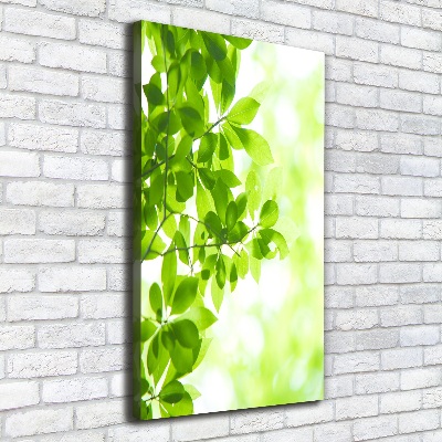 Verticale foto op canvas Groene bladeren