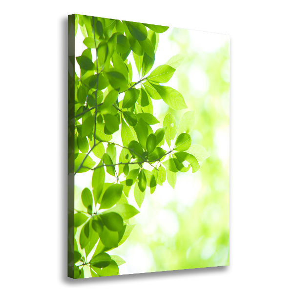 Verticale foto op canvas Groene bladeren