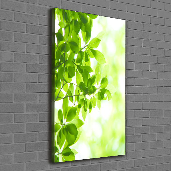 Verticale foto op canvas Groene bladeren