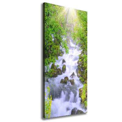 Verticale foto op canvas Bergstroom