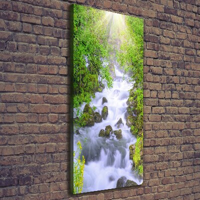 Verticale foto op canvas Bergstroom