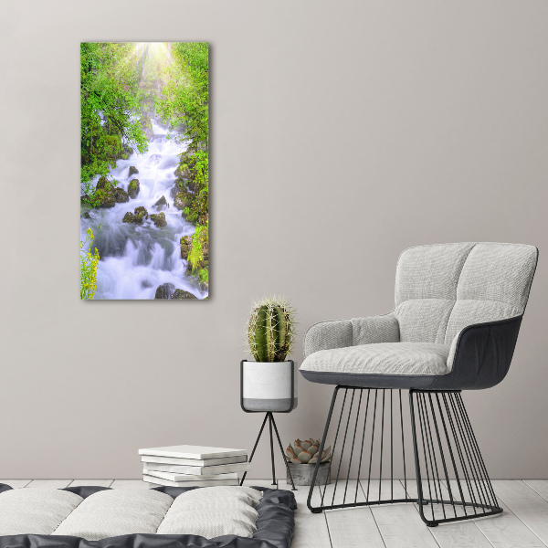Verticale foto op canvas Bergstroom